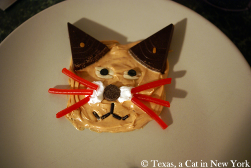 Books Cupcakes and Cats Chasing Chipmunks; Texas a Cat in New York; cat cupcakes; cats; cupcakes