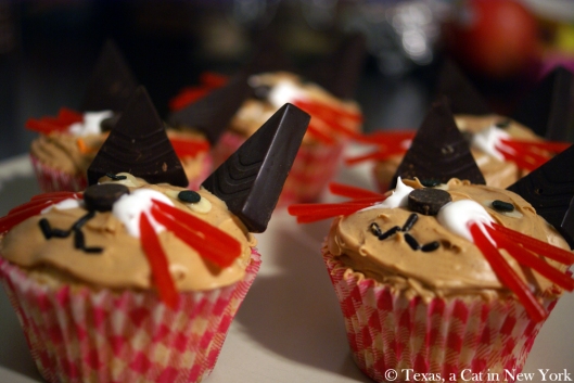 Books Cupcakes and Cats Chasing Chipmunks; Texas a Cat in New York; cat cupcakes; cats; cupcakes