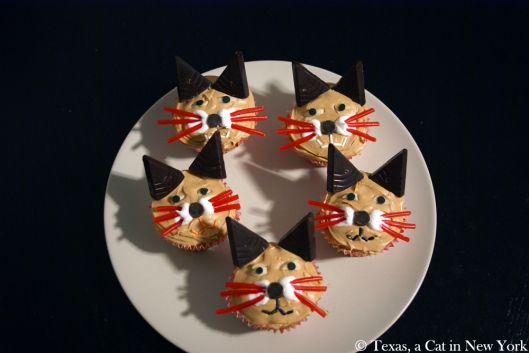Books Cupcakes and Cats Chasing Chipmunks, cat cupcakes, cupcakes, Texas a Cat in New York