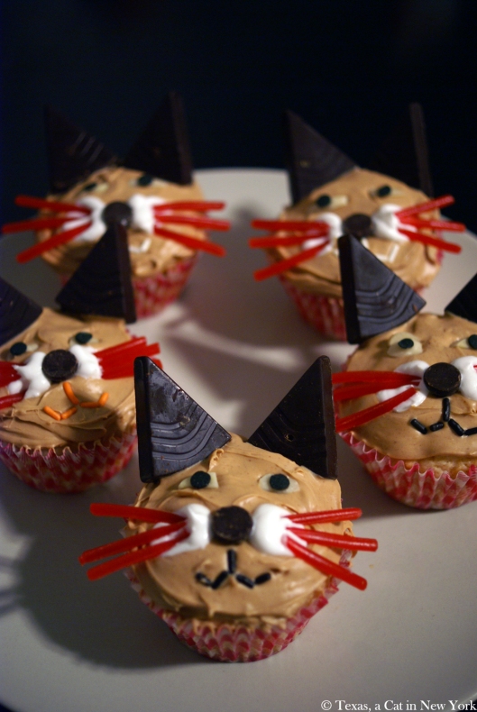 Books Cupcakes and Cats Chasing Chipmunks, cat cupcakes, cupcakes, Texas a Cat in New York