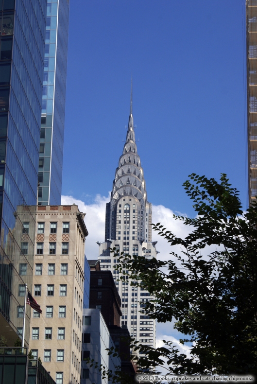 New York | Books, Cupcakes, and Cats Chasing Chipmunks