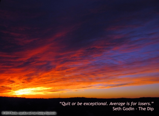 "Quit or be exceptional" - The Dip, by Seth Godin | Books, Cupcakes, and Cats Chasing Chipmunks