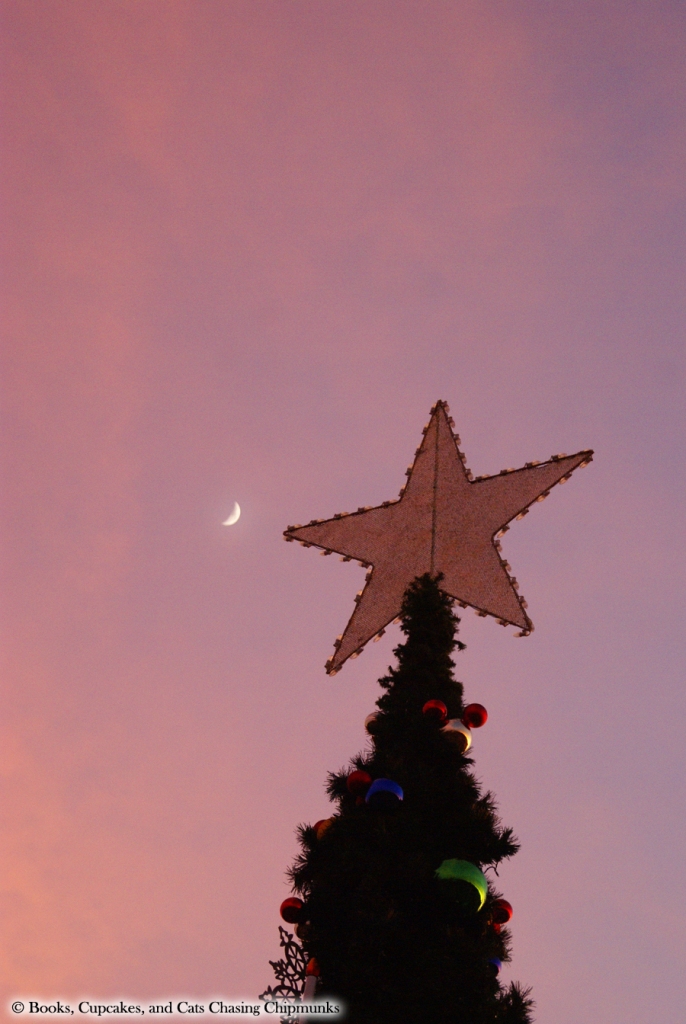 Christmas Tree at Sunset - Fredericksburg, TX | Books, Cupcakes, and Cats Chasing Chipmunks